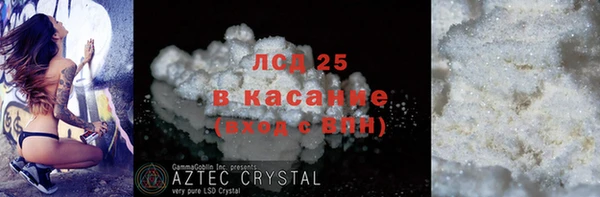 индика Няндома