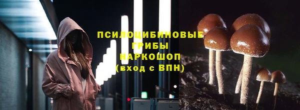 индика Няндома