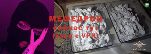 индика Няндома
