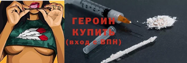 прущие грибы Новодвинск