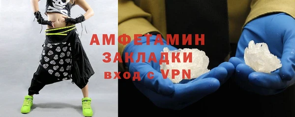 индика Няндома