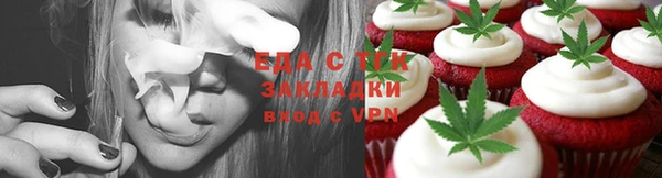 прущие грибы Новодвинск
