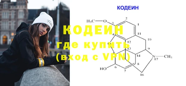 прущие грибы Новодвинск