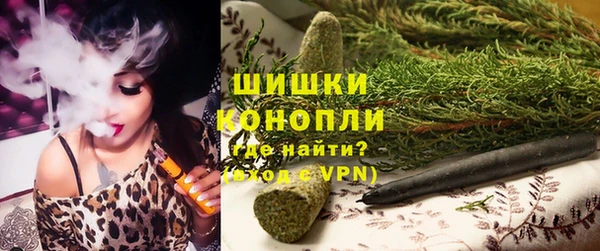 молекула духа Новокубанск