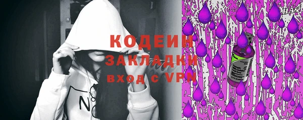 индика Няндома