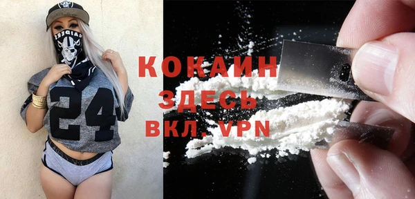индика Няндома
