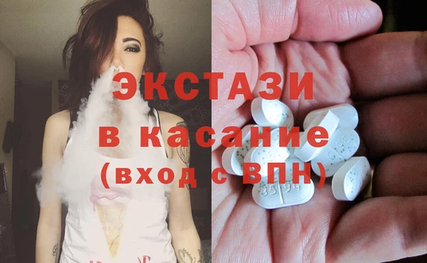 прущие грибы Новодвинск