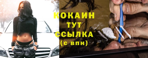 прущие грибы Новодвинск