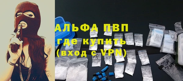 прущие грибы Новодвинск
