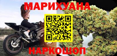 гидра Будённовск