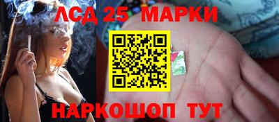 гидра Будённовск