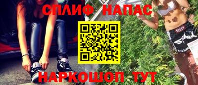 гидра Будённовск