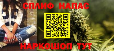 гидра Будённовск
