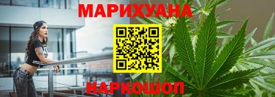гидра Будённовск