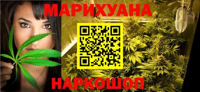 гидра Будённовск