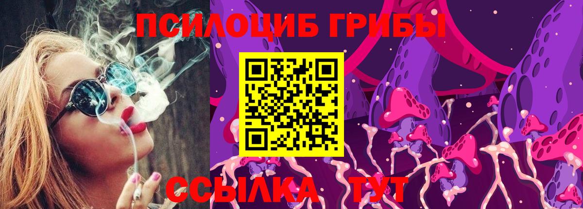 Галлюциногенные грибы мицелий  Псилоцибиновые грибы Magic Shrooms  что такое   Вход с VPN  Нарьян-Мар 
